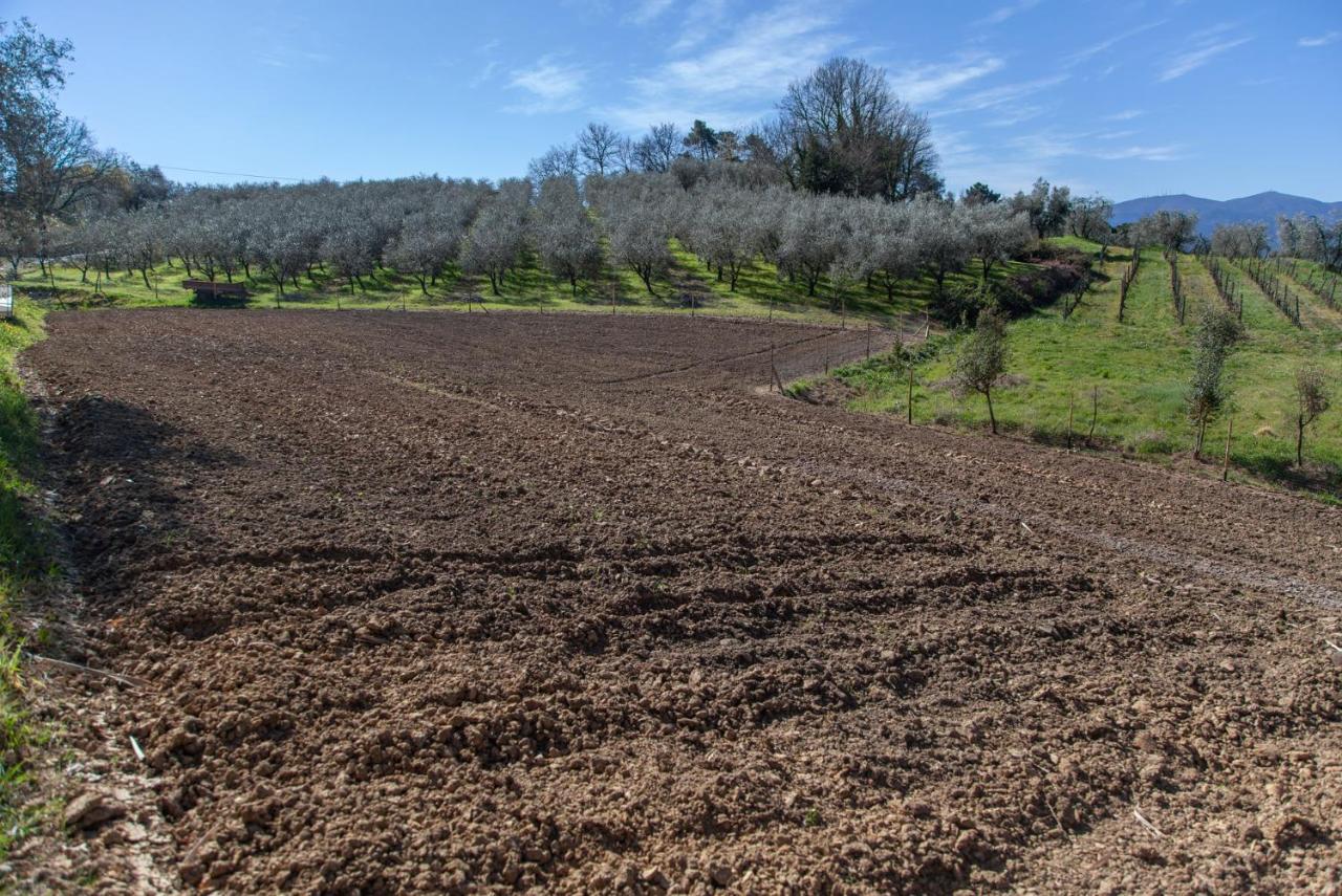 מונטה קארלו Locanda Agricola Posapiano מראה חיצוני תמונה