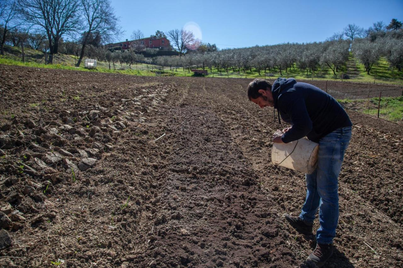 מונטה קארלו Locanda Agricola Posapiano מראה חיצוני תמונה