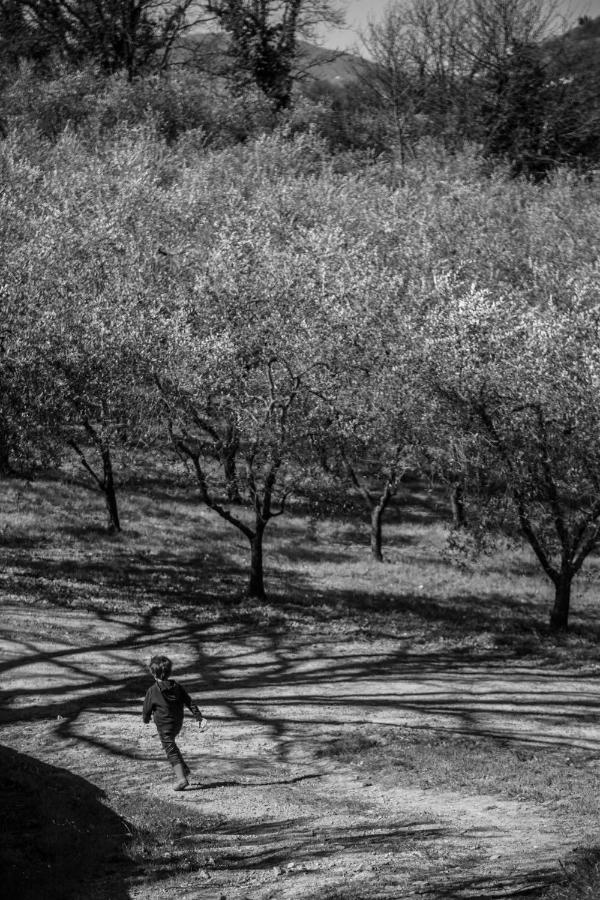 מונטה קארלו Locanda Agricola Posapiano מראה חיצוני תמונה