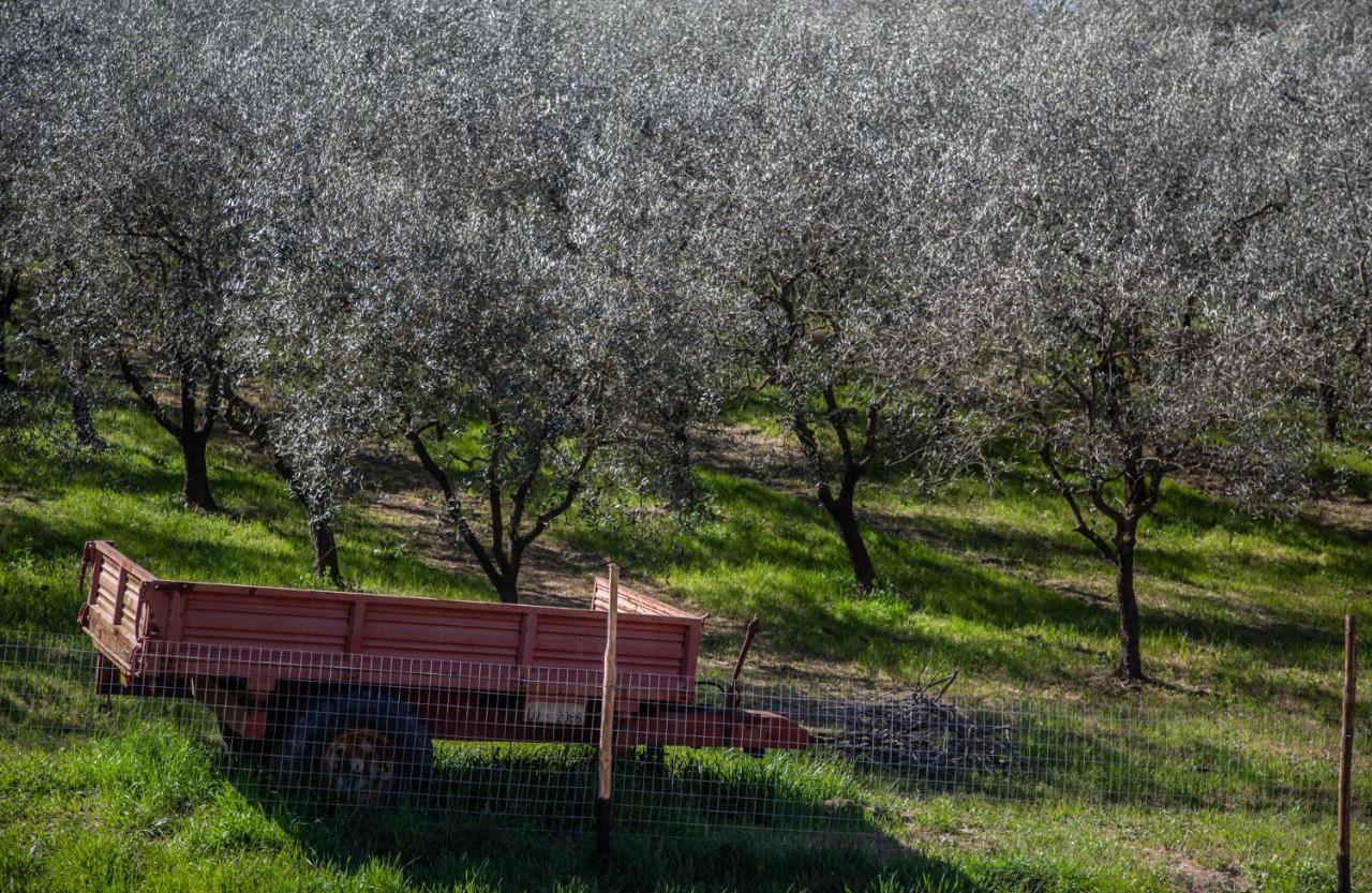מונטה קארלו Locanda Agricola Posapiano מראה חיצוני תמונה