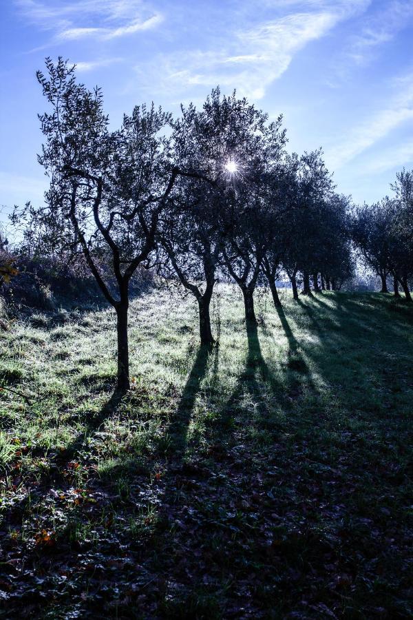 מונטה קארלו Locanda Agricola Posapiano מראה חיצוני תמונה