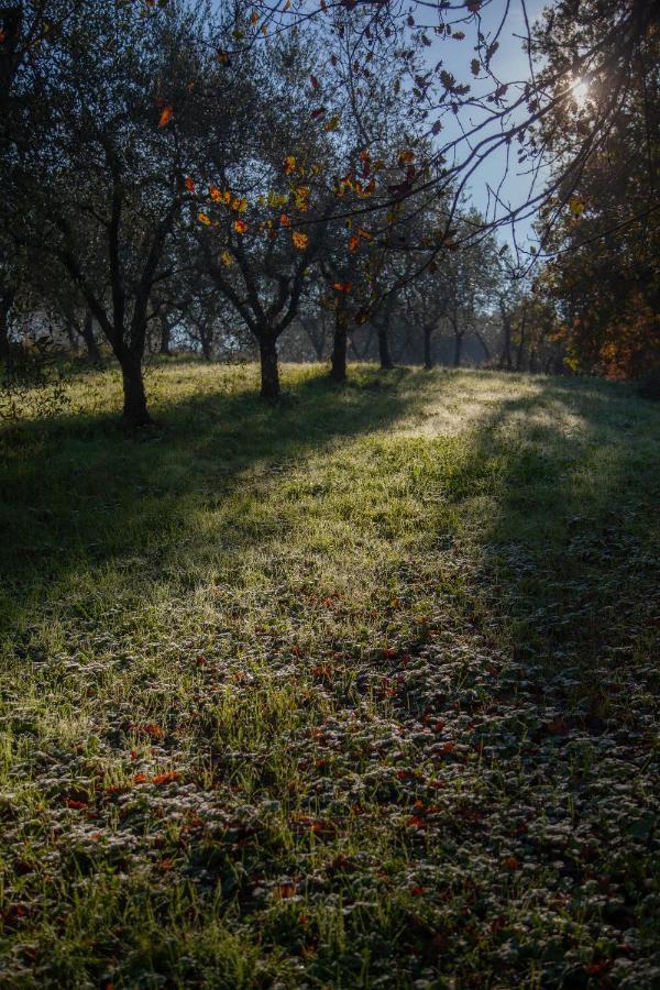 מונטה קארלו Locanda Agricola Posapiano מראה חיצוני תמונה